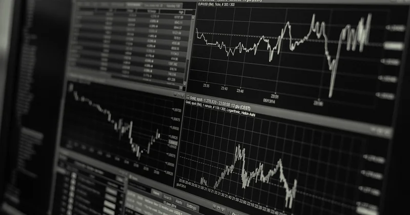 Le plan financier : la seule partie qui doit être « fausse »