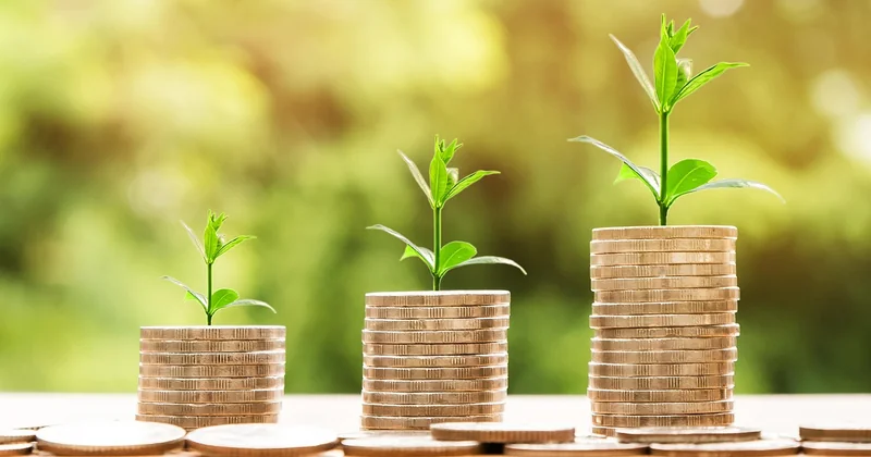 Quand faut-il lancer sa croissance ? Les critères objectifs