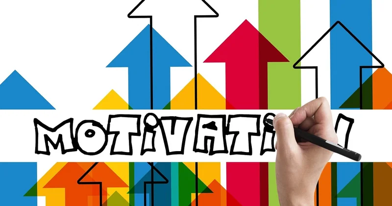 Comment mettre en place une diversification : la méthode que j'utilise